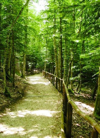 B & B Il Tratturo San Pietro Avellana Luaran gambar